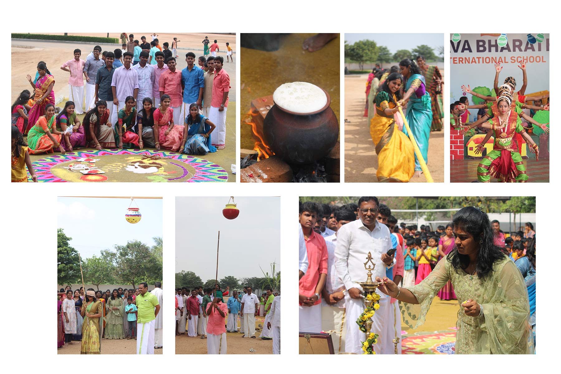 Pongal celebration